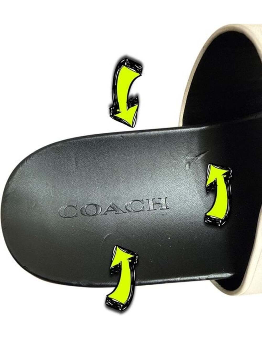 COACH GABLE SLIDES - Picture 8 of 9
